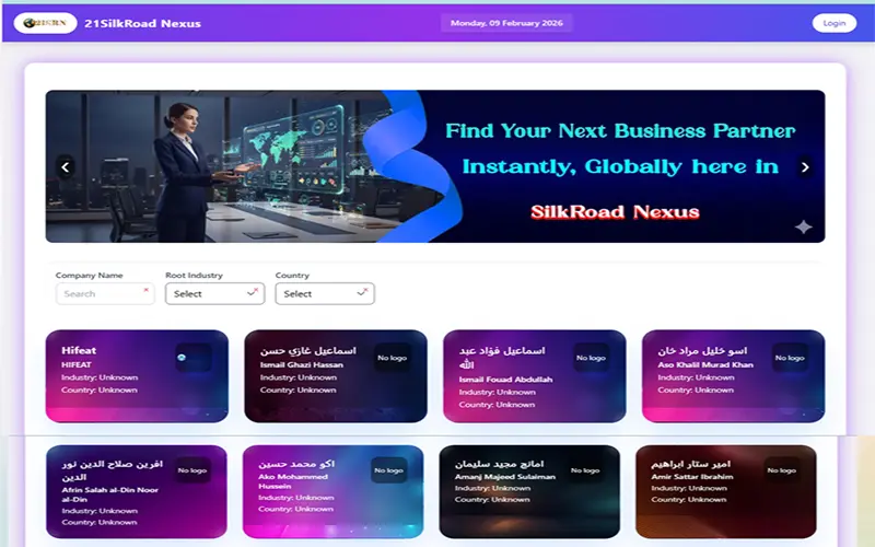Professional E-Commerce Analytics Dashboard Visualization
