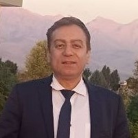 Naser Mahmoudi